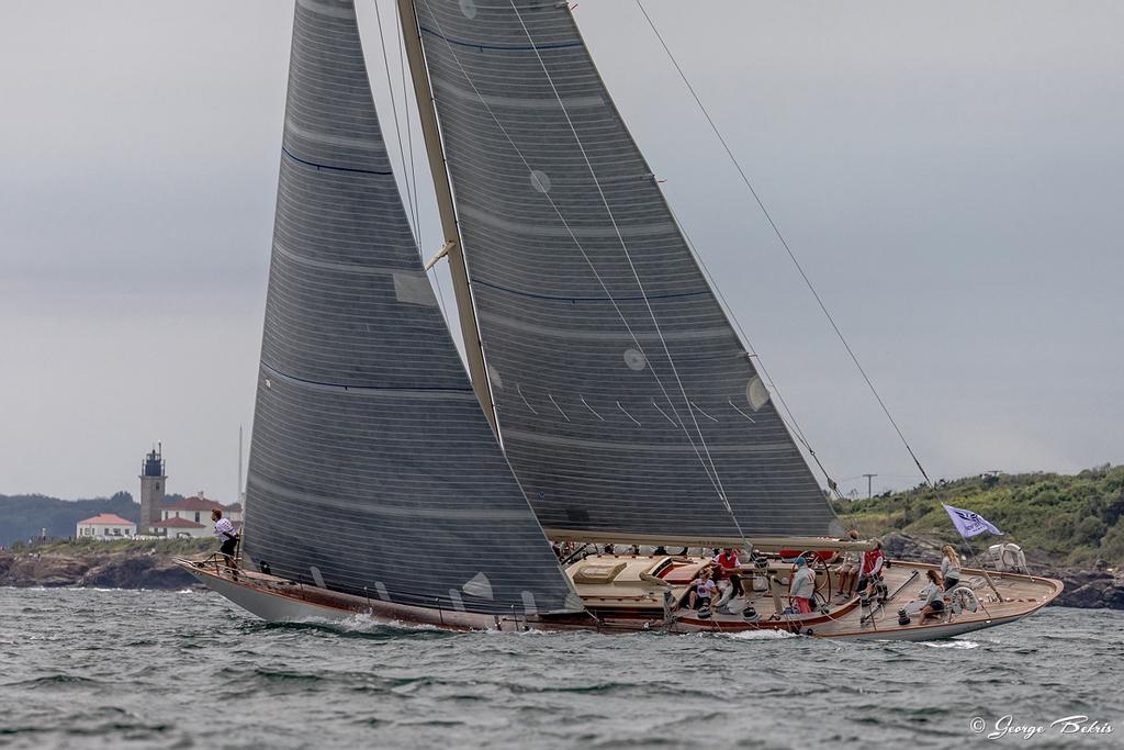 W Class Wild Horses - Candy Store Cup &copy; George Bekris http://www.georgebekris.com